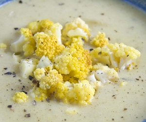 karnabahar çorbası