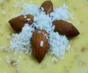 kayısılı bademli keşkül