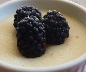 yaban meyveli pirinç tatlısı