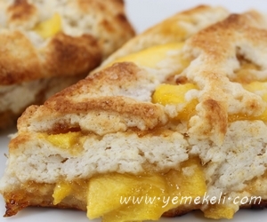 tavuklu tava böreği tarifi