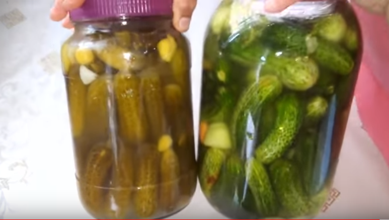 pratik salatalık turşusu