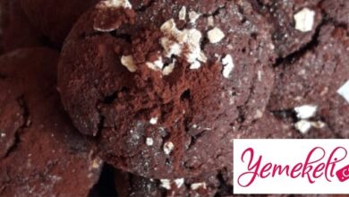 çikolatalı yulaflı kurabiye